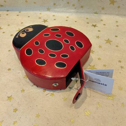 Leather Ladybird Money Box